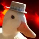 Canard